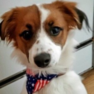 Meet your Posher, Sharyne